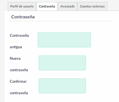 13Password tab